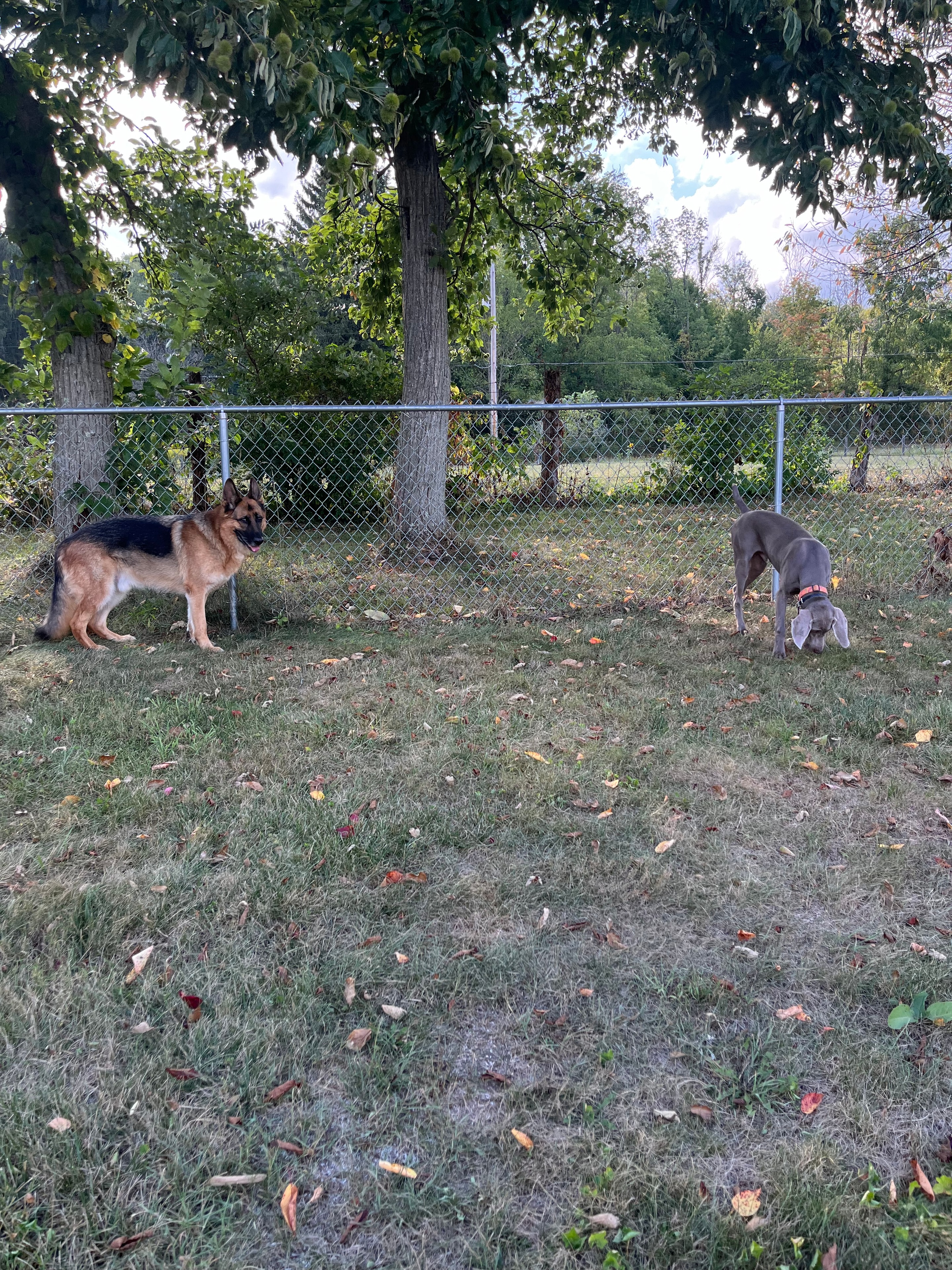 Outdoor training field